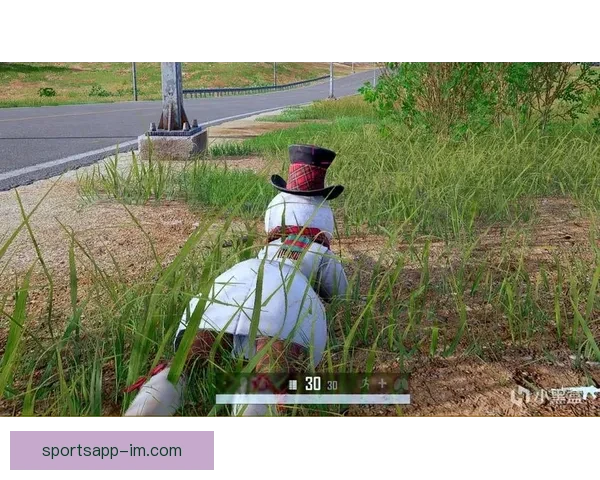 IM体育与九州体育平台实力对比及用户体验差异全面解析指南 IM体育与九州体育平台实力对比及用户体验差异全面解析指南